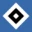 Hamburger SV