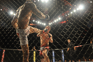 Błachowicz - Rakić transmisja na żywo i online. Gdzie oglądać UFC Fight Night?