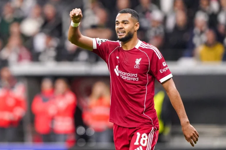 Liverpool - Cody Gakpo 1