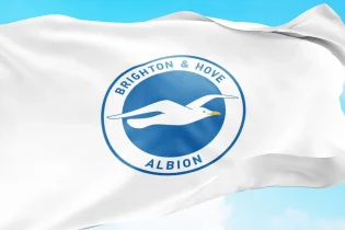 Brighton - logo 1 herb flaga