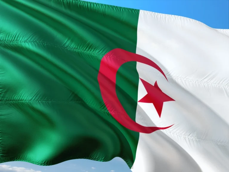 Algeria - flaga 1 | Reprezentacja Algerii