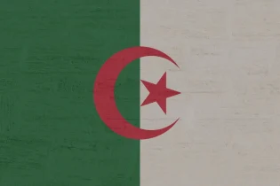 Algeria - flaga 2 | Reprezentacja Algerii