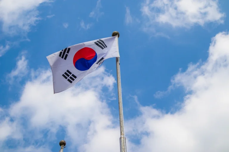 Korea Południowa - flaga 3 | Reprezentacja Korei Płd.