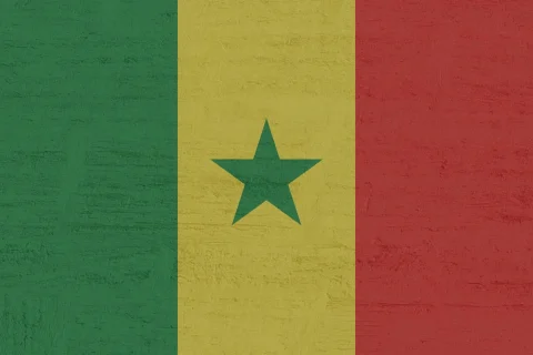 Senegal - flaga 1 | Reprezentacja Seegalu