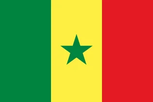 Senegal - flaga 2 | Reprezentacja Seegalu