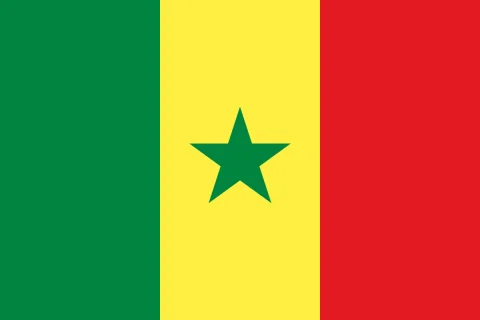 Senegal - flaga 2 | Reprezentacja Seegalu